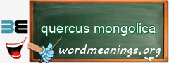 WordMeaning blackboard for quercus mongolica